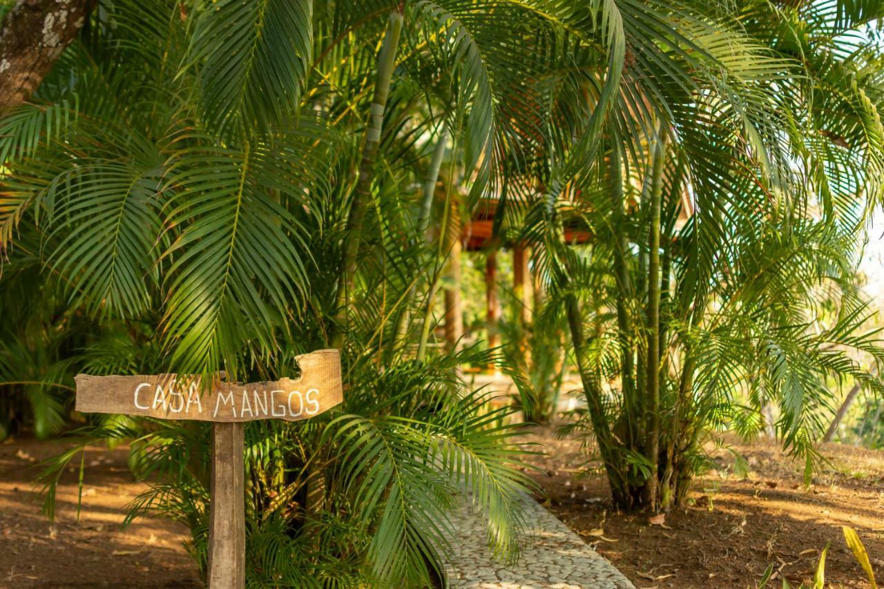 Calamocha Lodge Playa Santa Teresa  Exteriér fotografie